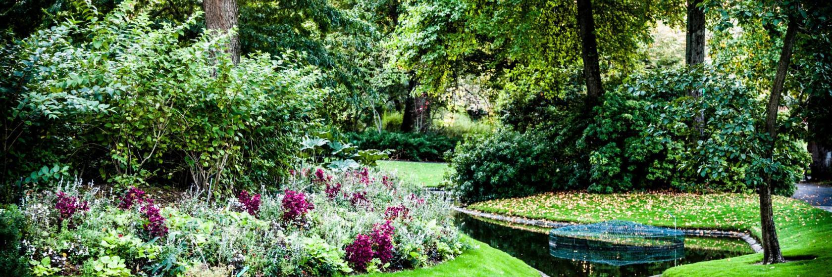 Jardin des Plantes